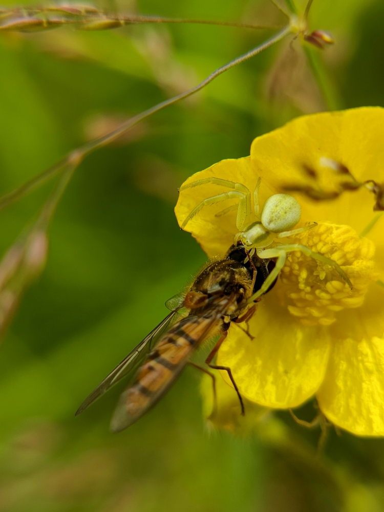 Photo 29959806
