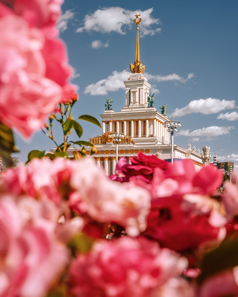 Розы на ВДНХ