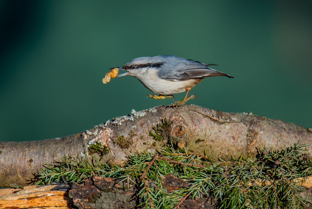Photo 29960514