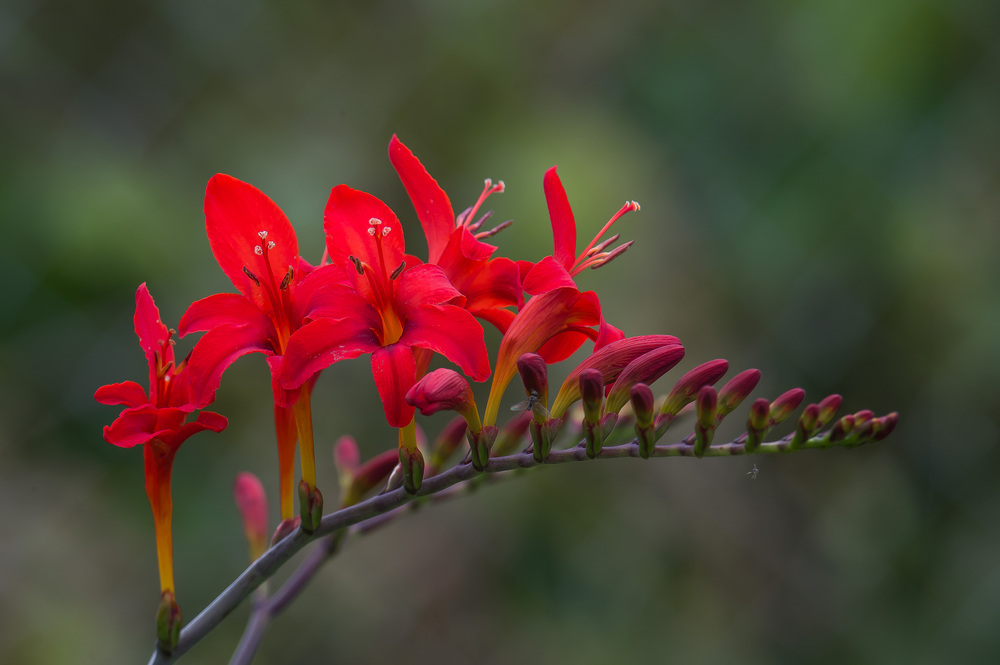 Photo 29960516