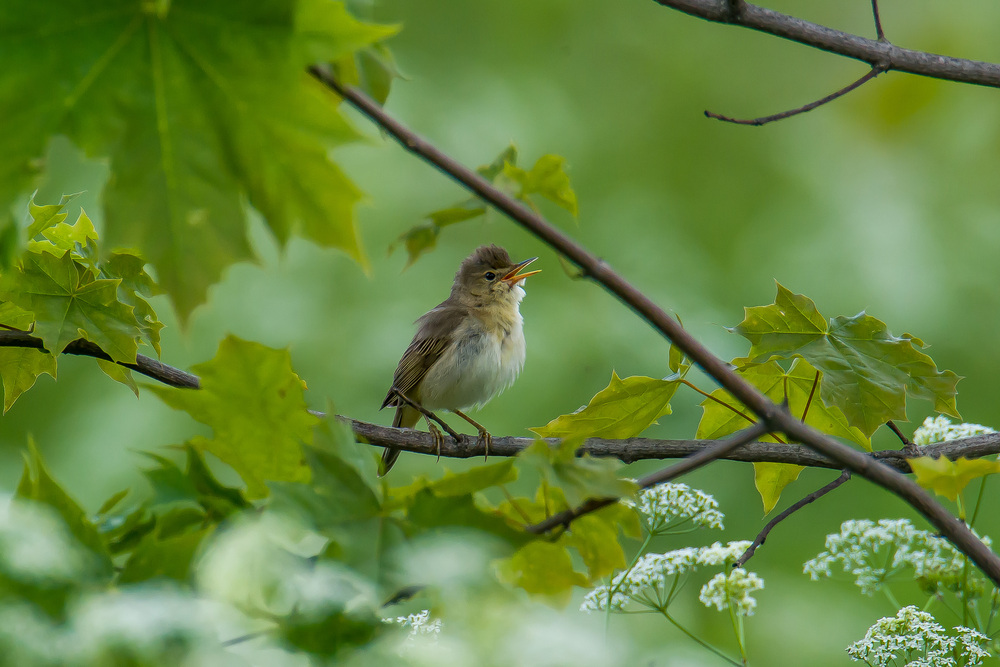 Photo 29960517