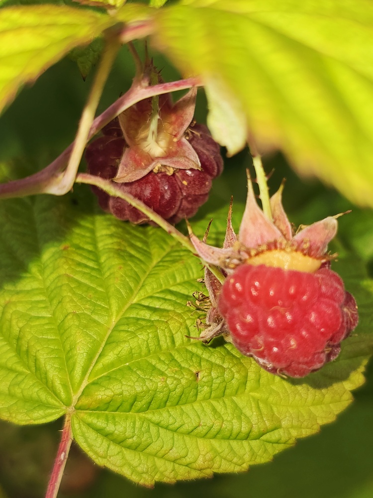 Photo 29960698