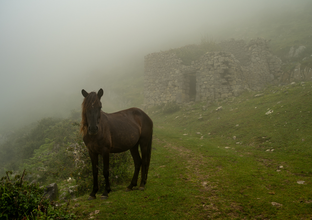Photo 29961287
