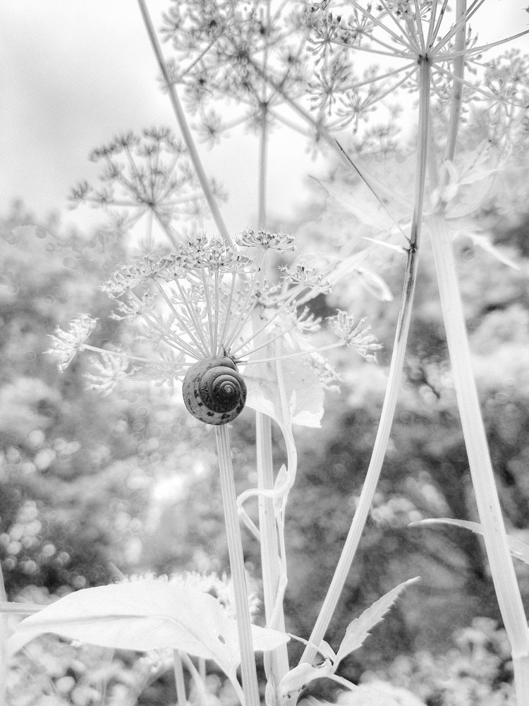 Photo 29961334