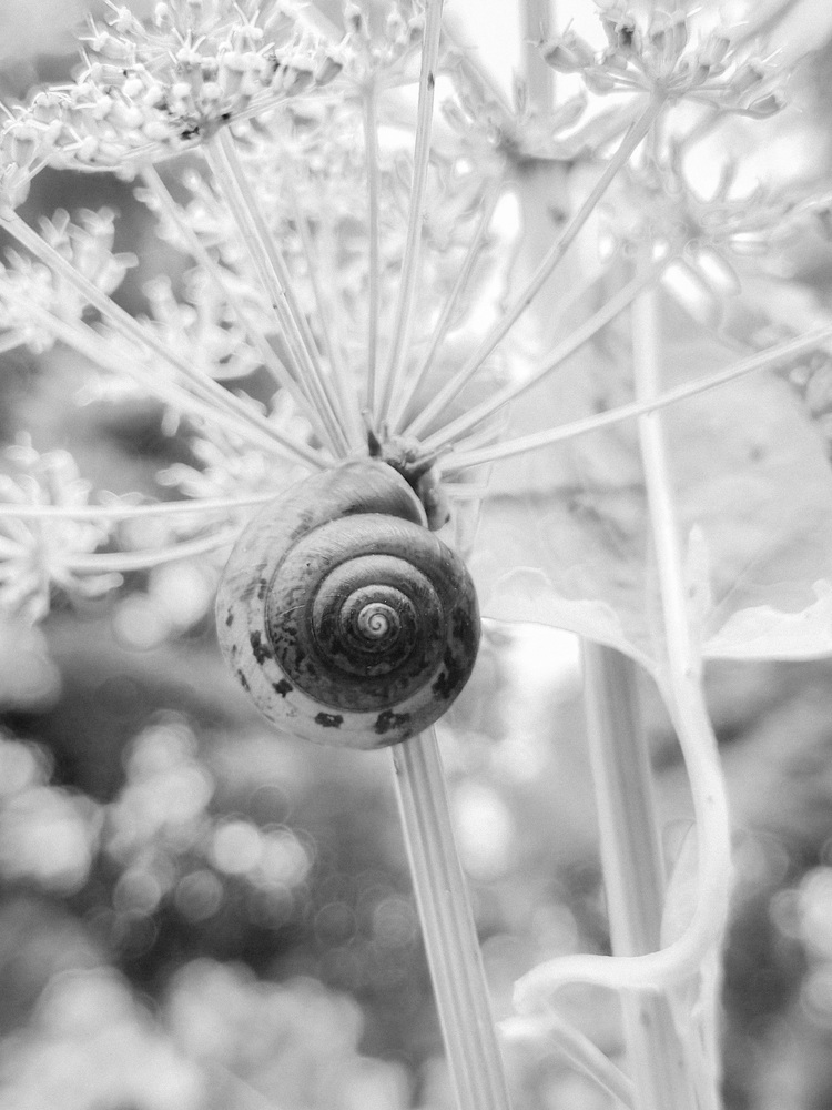 Photo 29961335