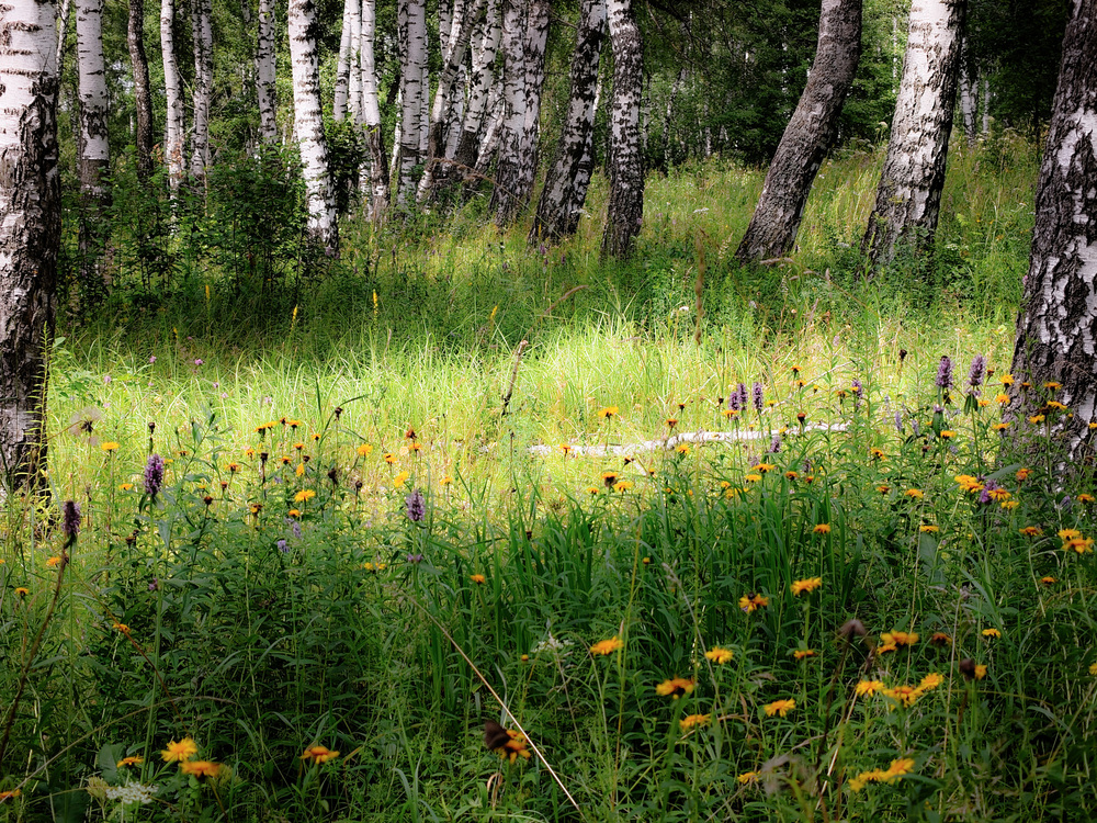 Photo 29961683