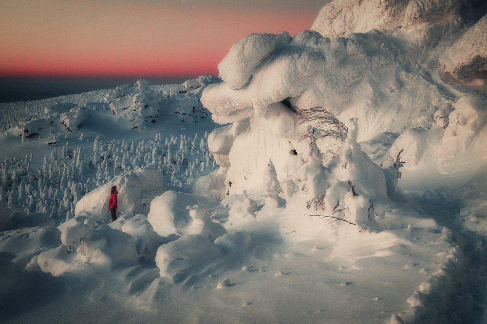 Photo 29961791
