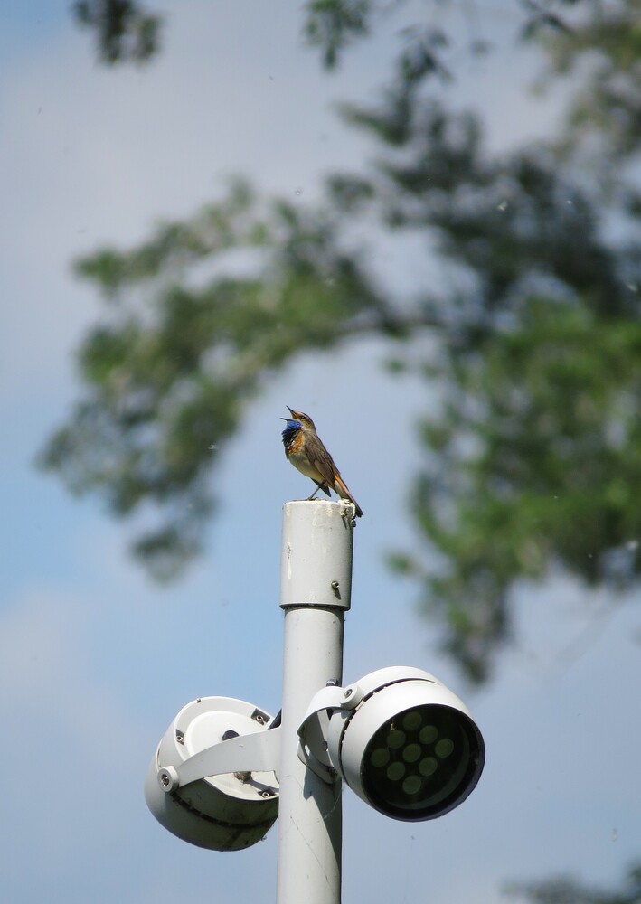 Photo 29962292