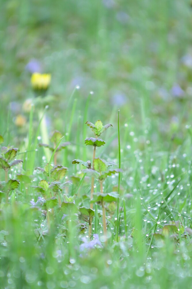 Photo 29962294