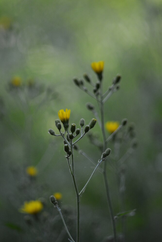 Photo 29962295