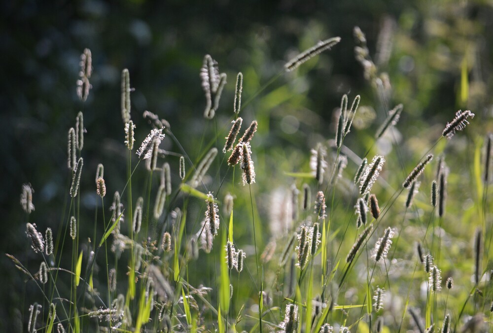 Photo 29962297