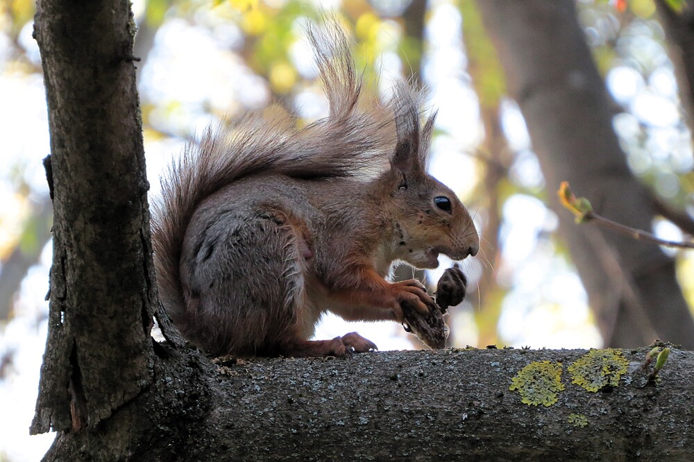 Photo 29962299