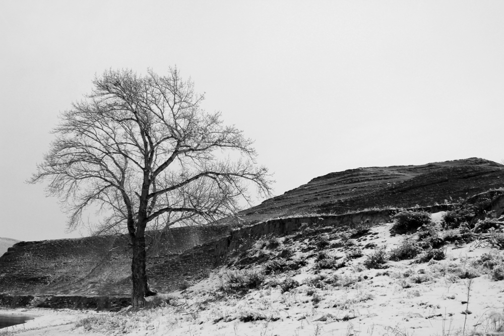 Photo 29962743