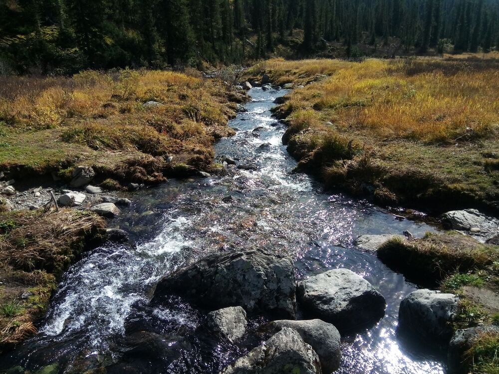 Photo 29962750
