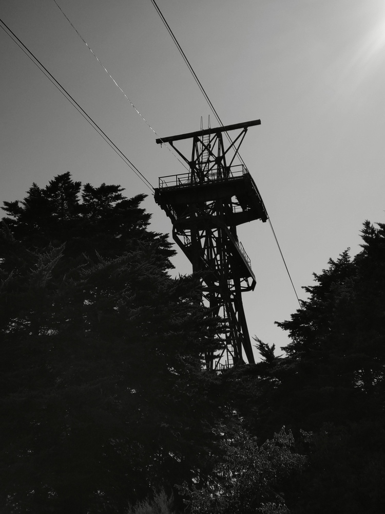 Photo 29963028