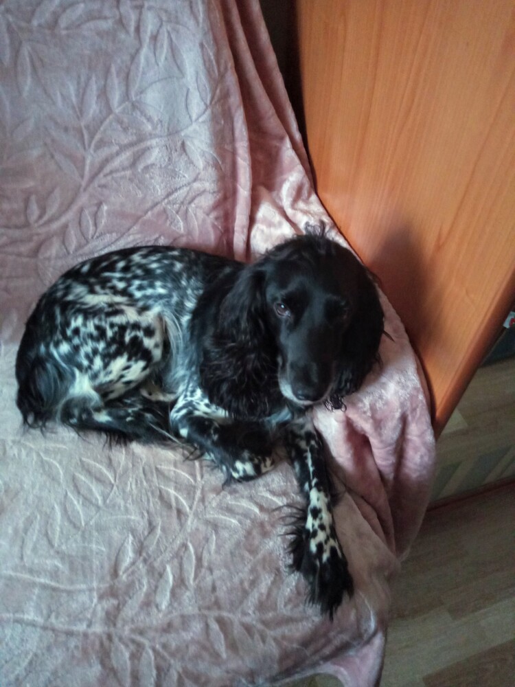 Photo 29963051