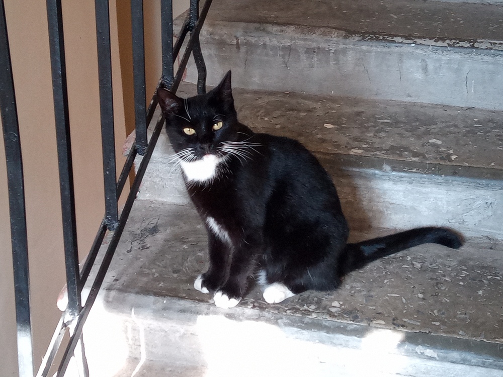 Photo 29963055