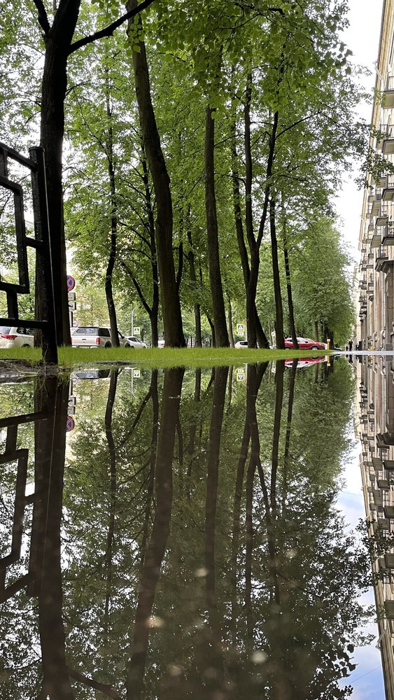 Photo 29963191