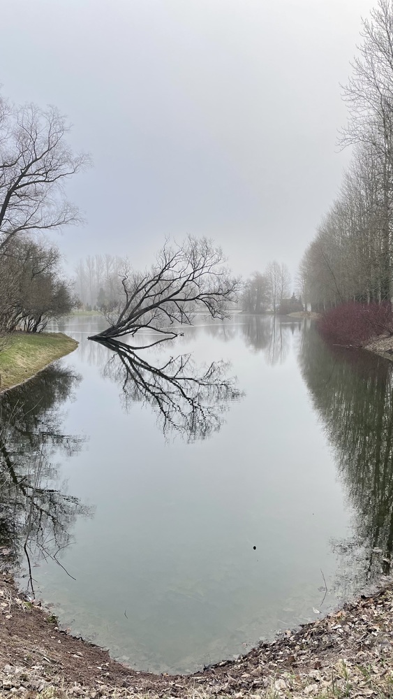 Photo 29963195