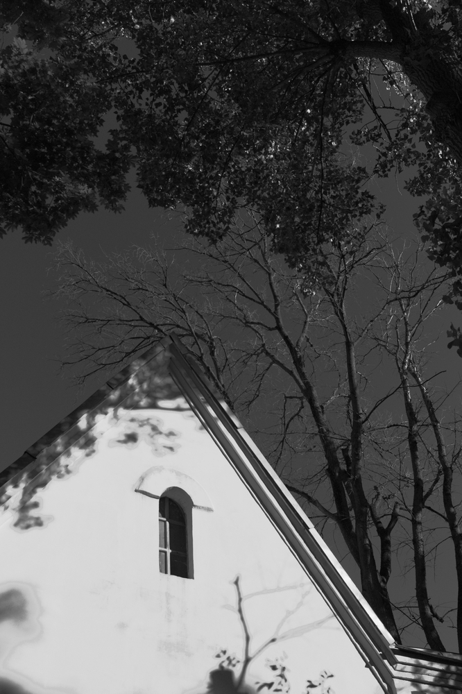 Photo 29963369