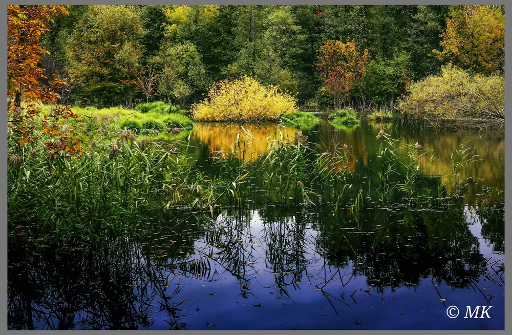 Photo 29963486