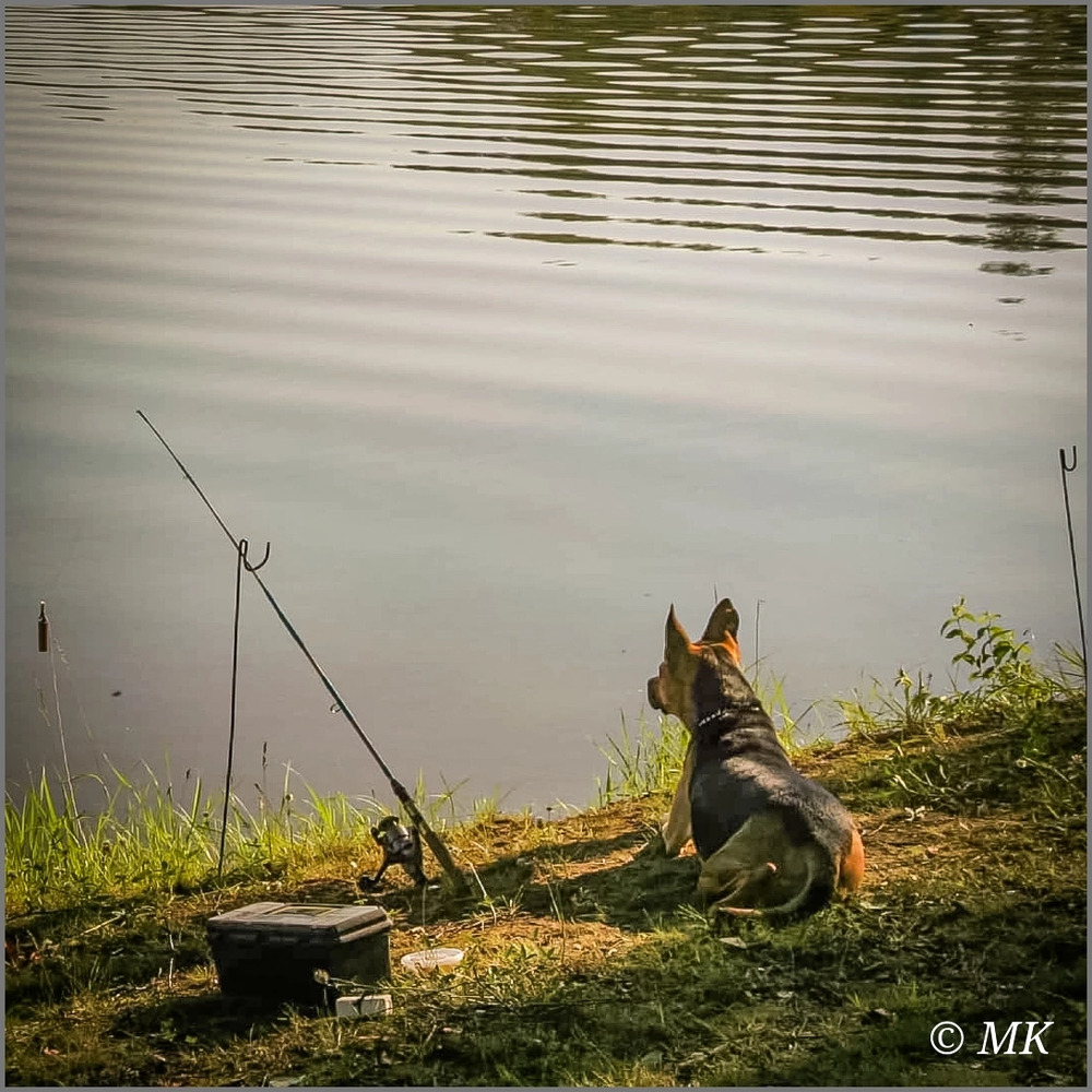 Photo 29963490