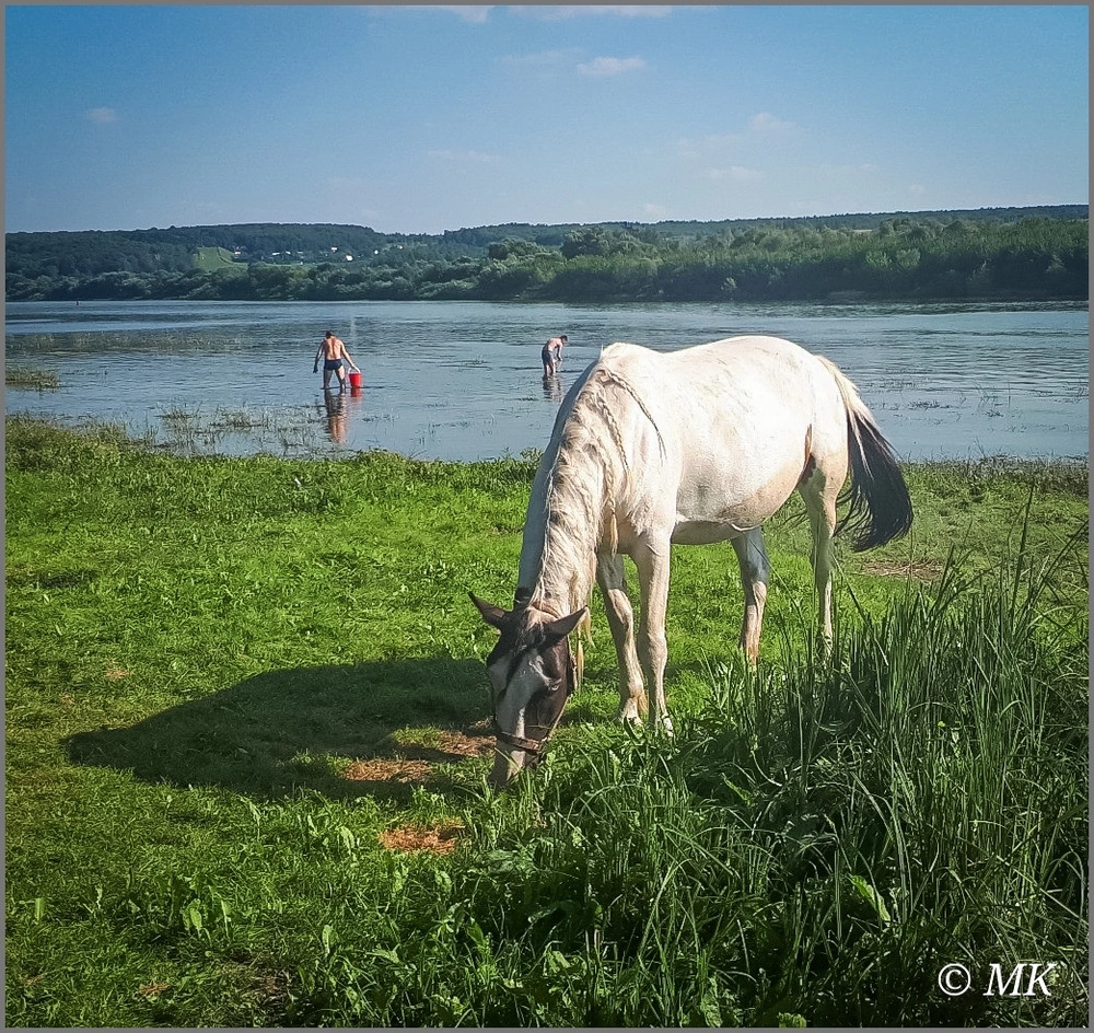 Photo 29963491