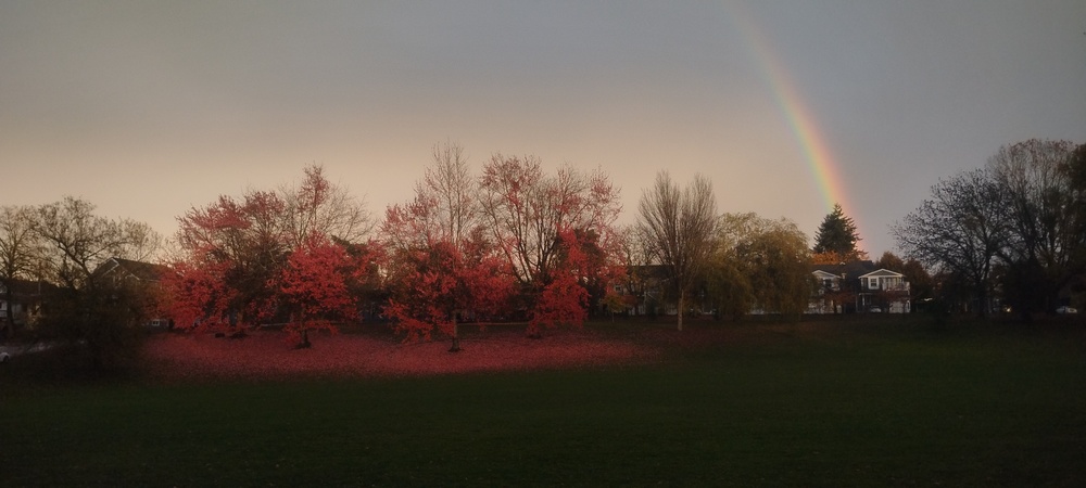 Photo 29963568