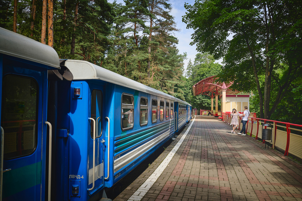 Станция Пионерская