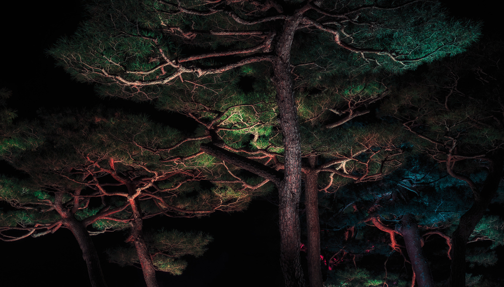 Beautiful landscapes of Korea