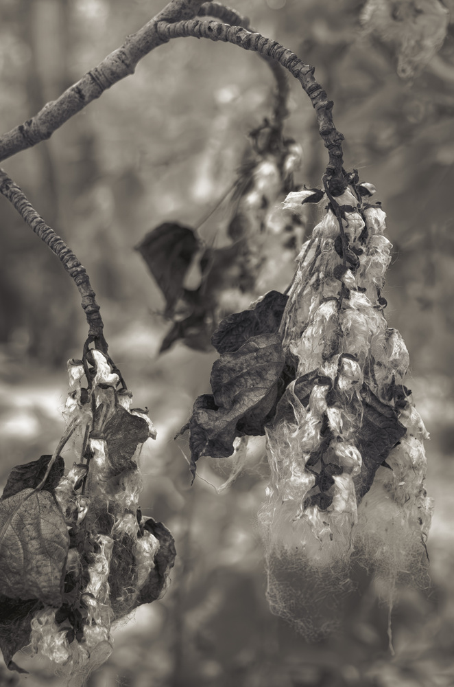 Photo 29964644
