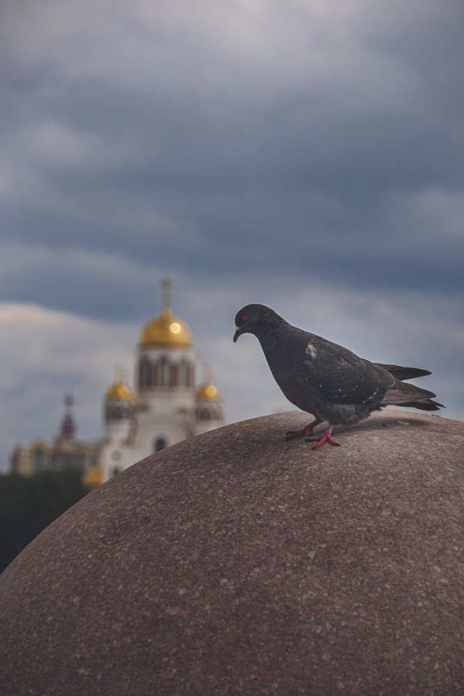 Photo 29964647