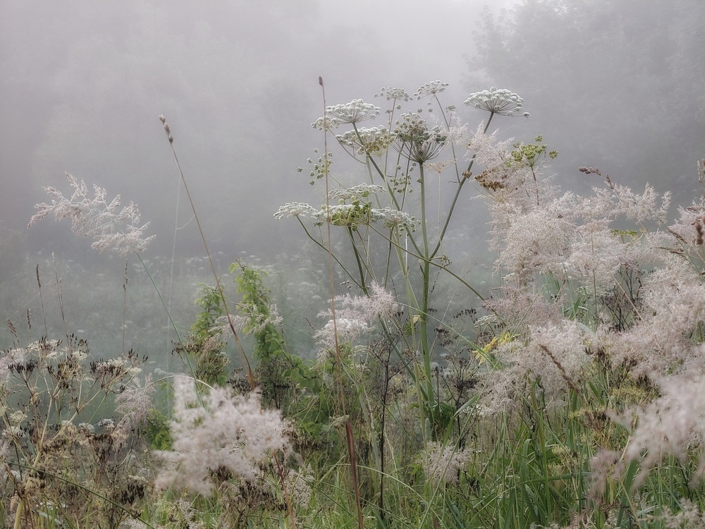 Photo 29964651
