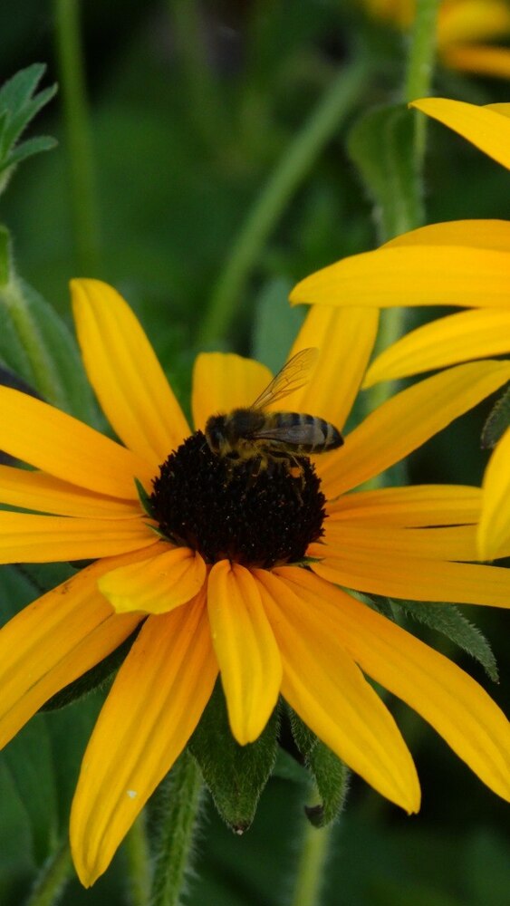 Nature photos