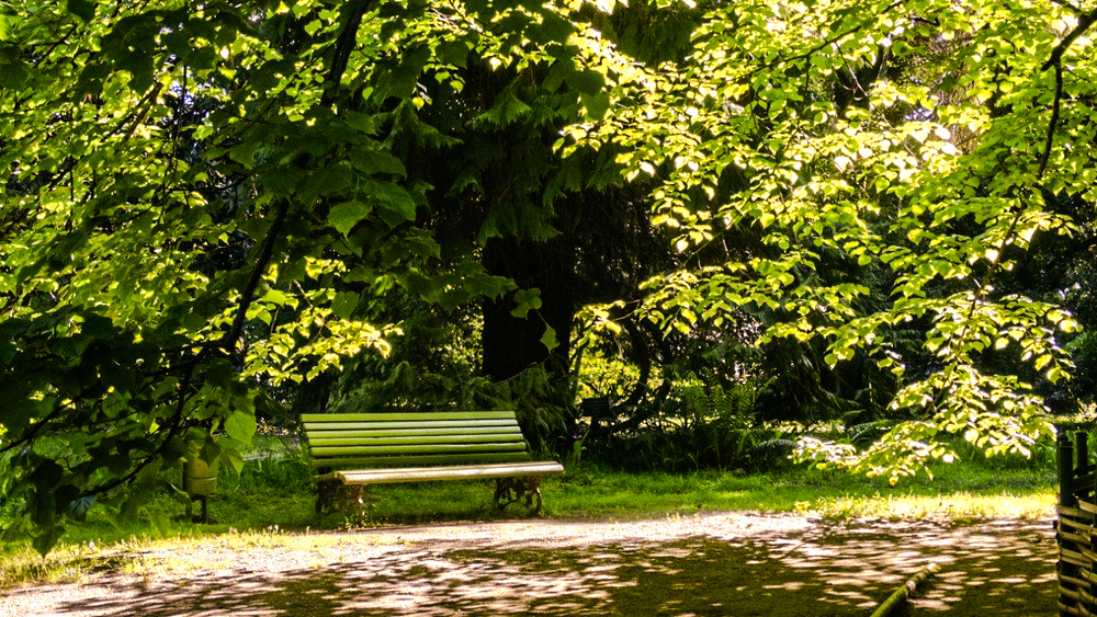Nature photos