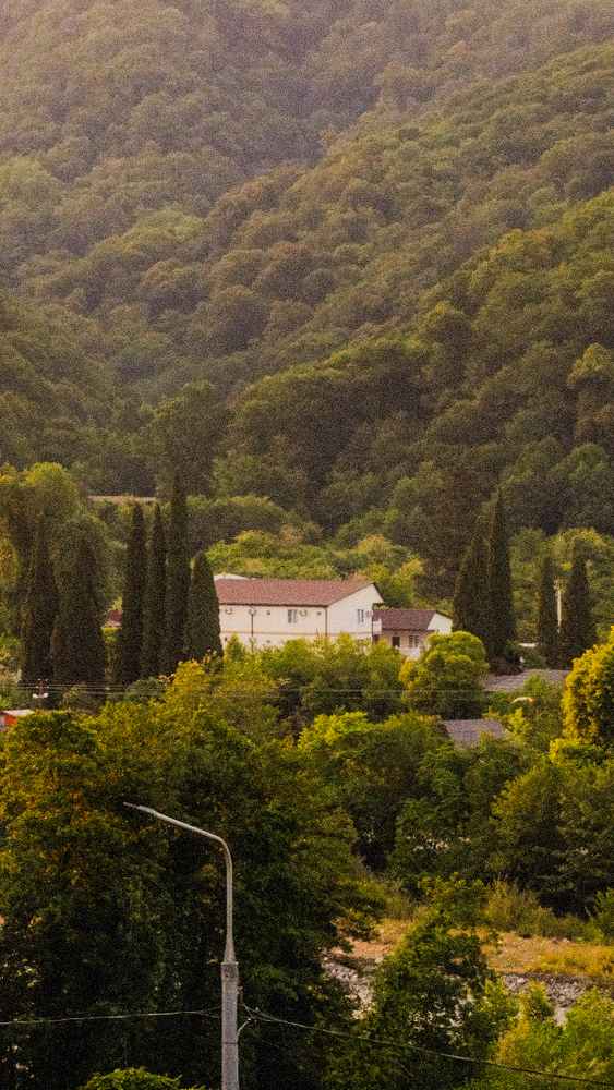 Nature photos