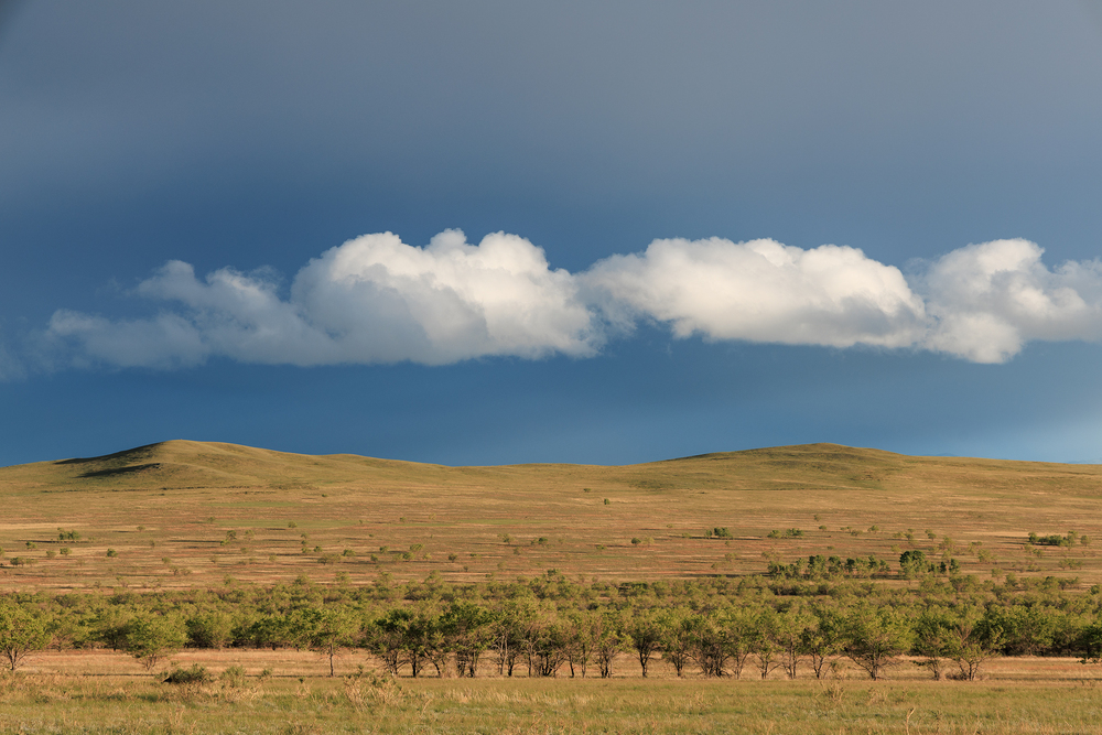 Photo 29965336