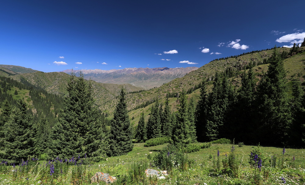 Photo 29965389