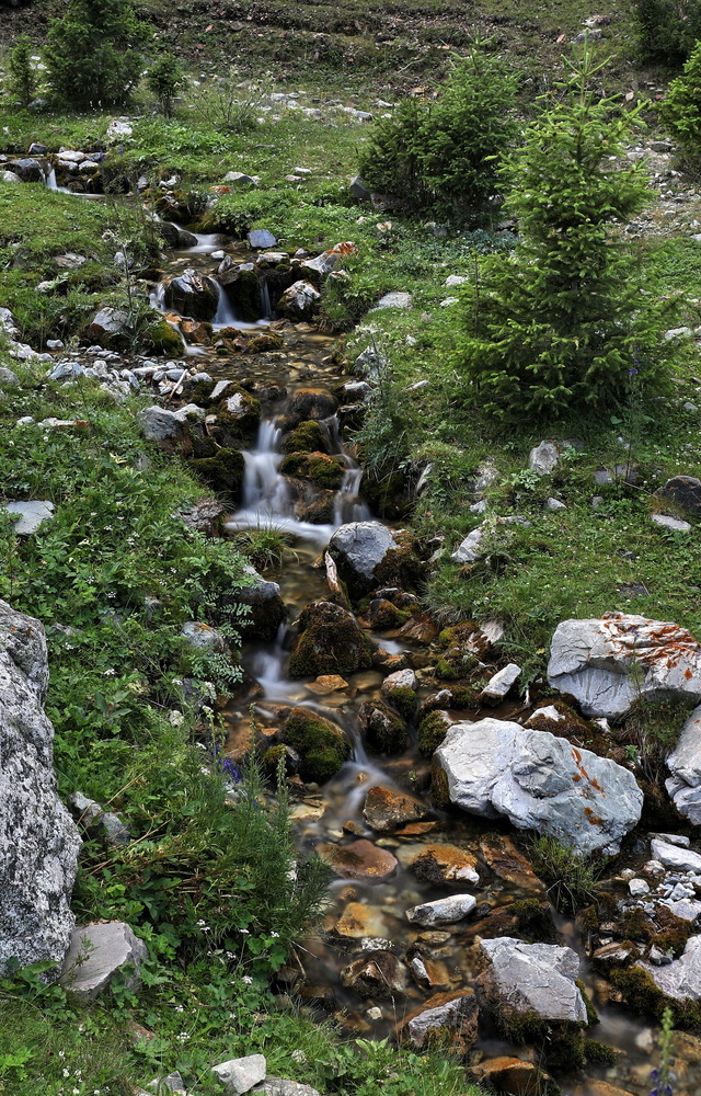 Photo 29965390