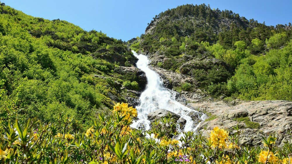 Photo 29965725