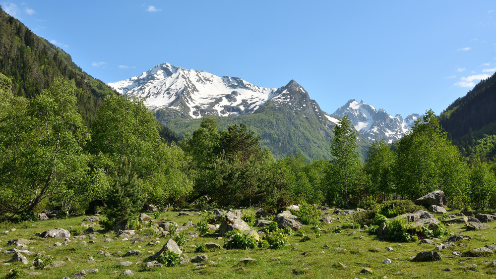 Photo 29965726