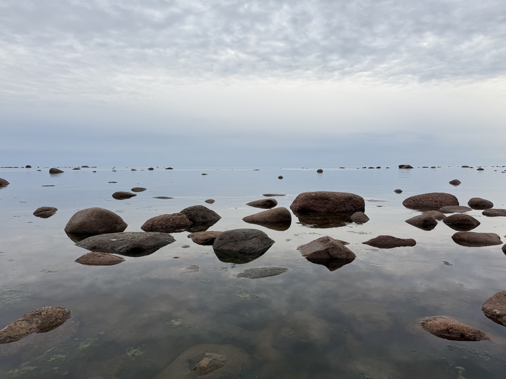 Photo 29966104