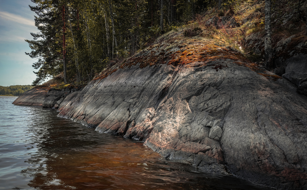 Photo 29966136