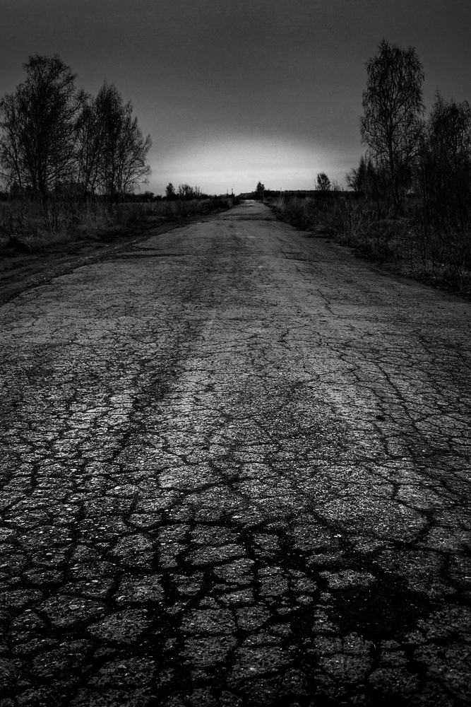 Photo 29966355