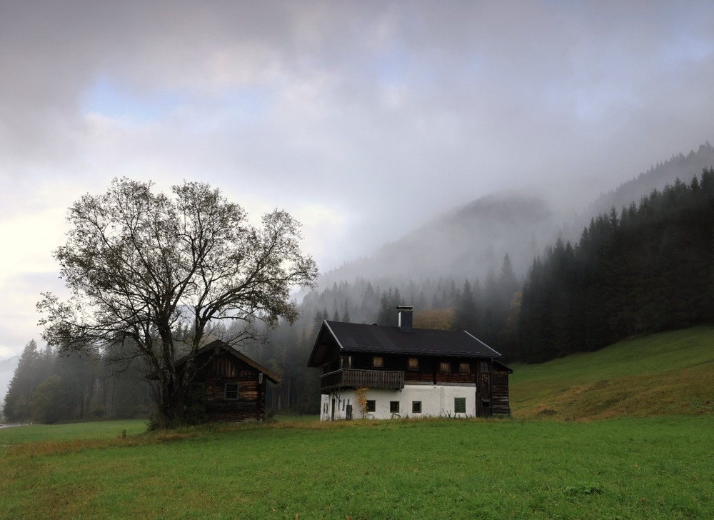Photo 29966898
