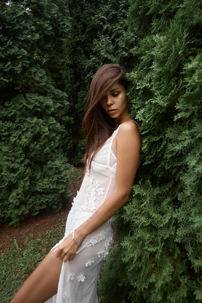 Photo 29967110