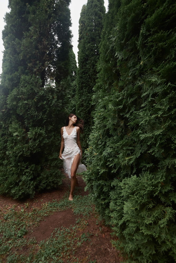 Photo 29967111