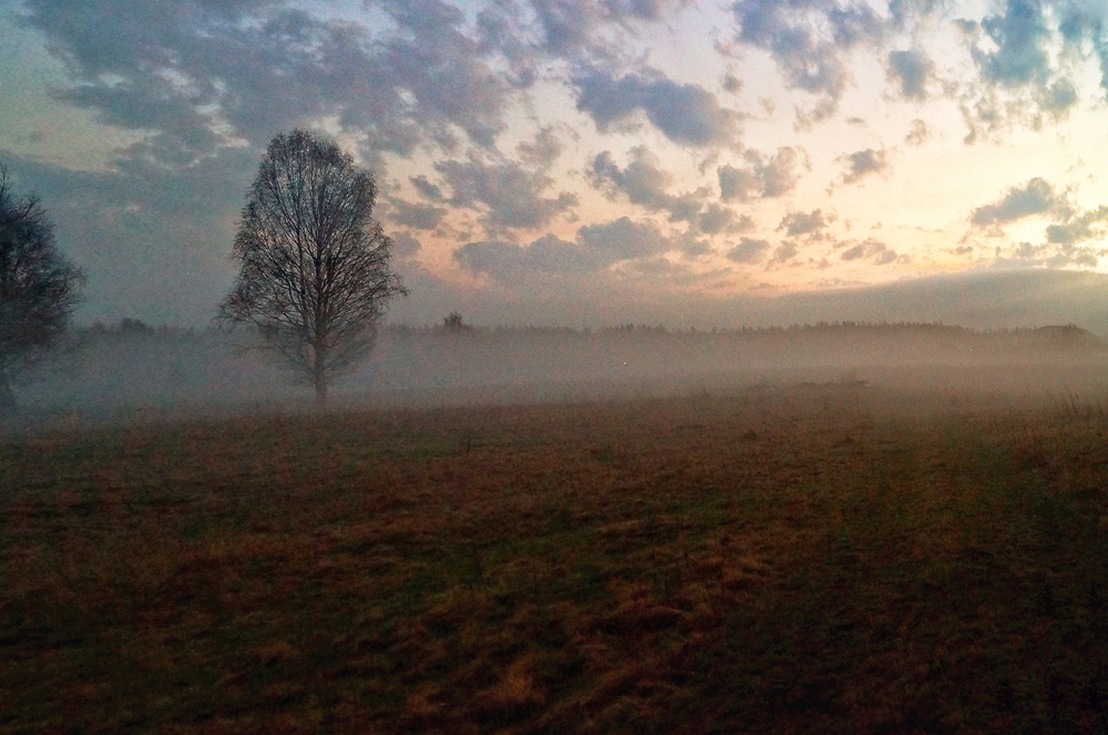 Photo 29968069