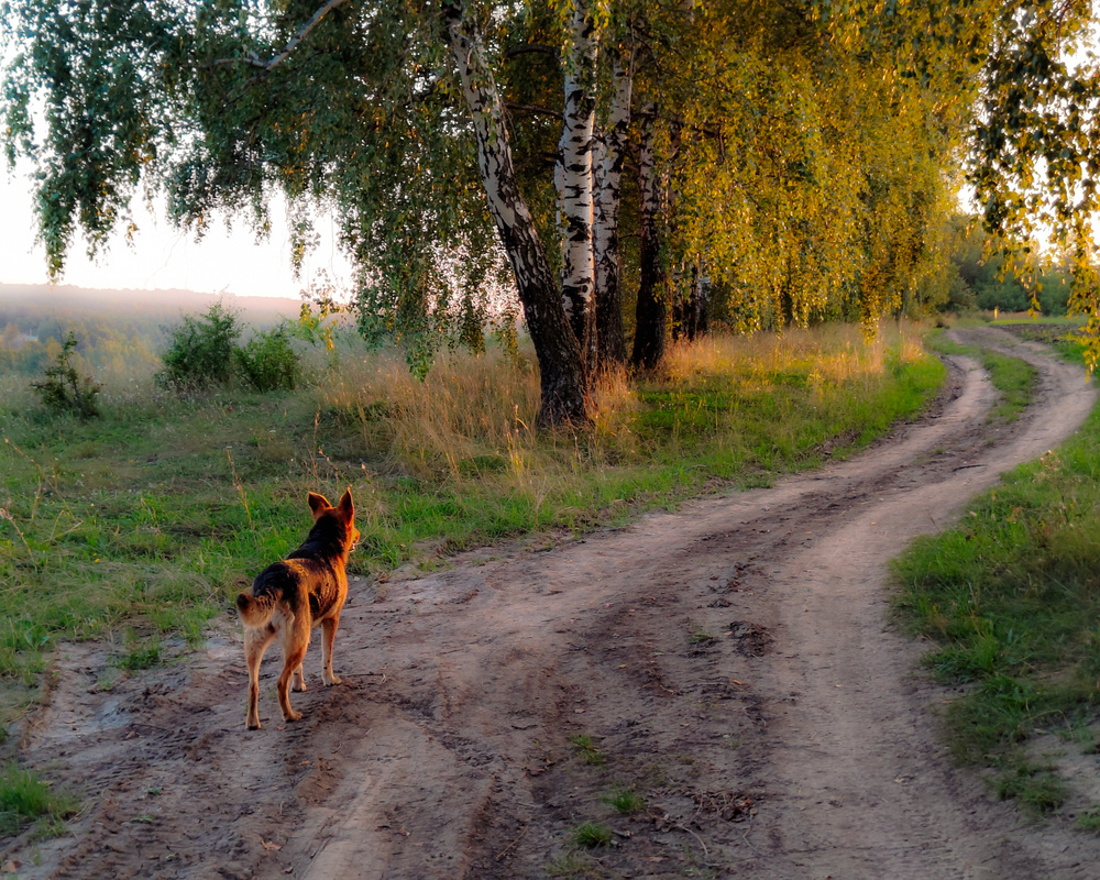 Photo 29968083