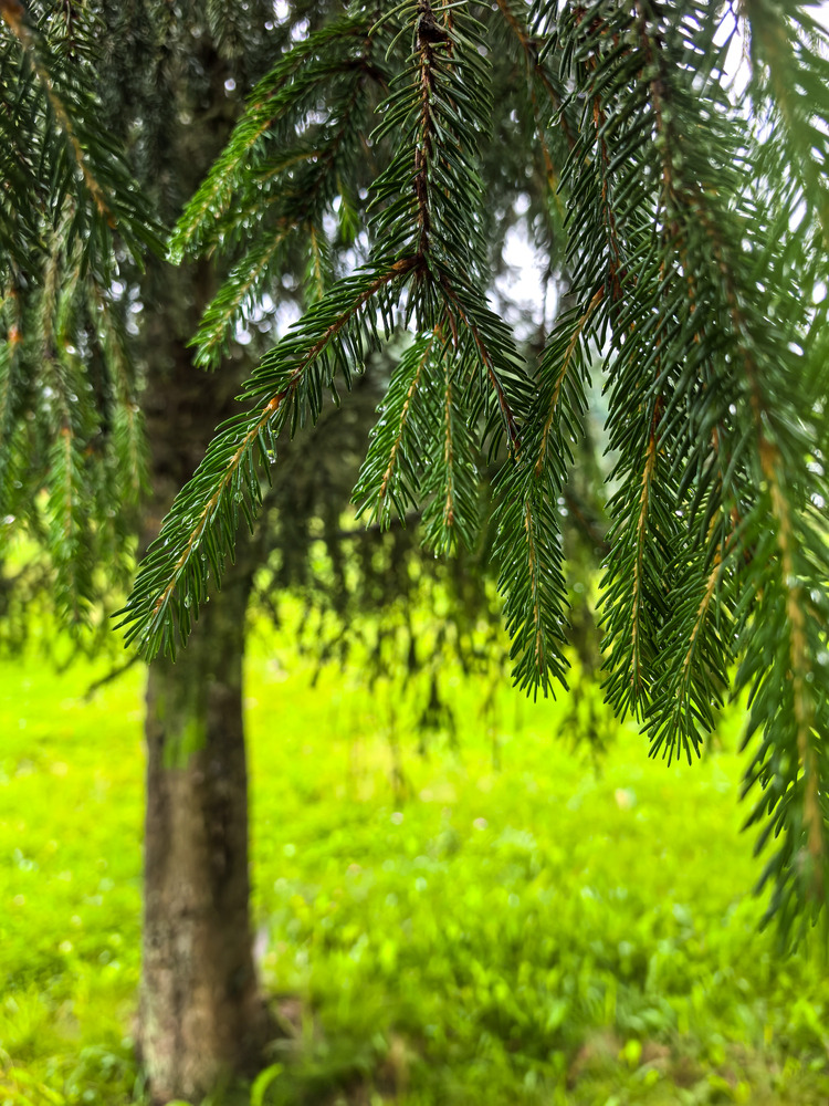 Photo 29968216